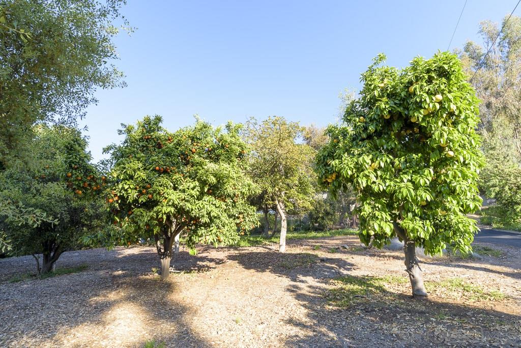 13392 Fallen Leaf Road Poway, CA 92064 - Photo 23 of 25