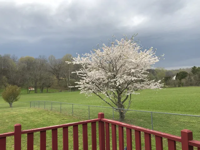 $385,000 | 15431 Columbia Highway, Lynnville, TN 38472