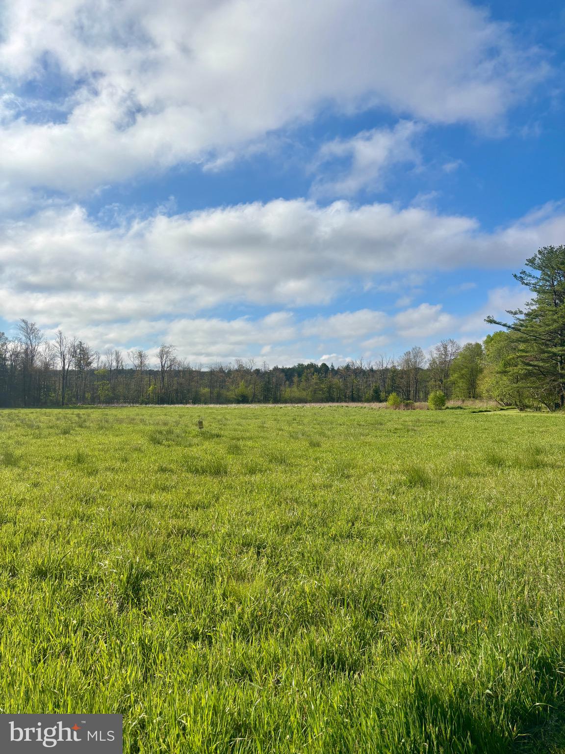 1362 Coleman Station Road Friedens, PA 15541 - Photo 12 of 25
