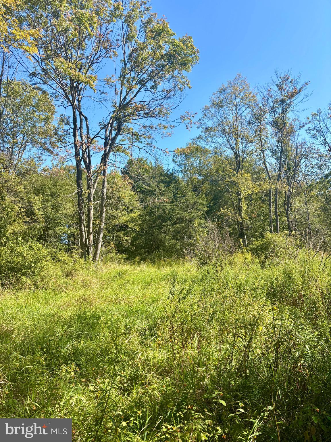 1362 Coleman Station Road Friedens, PA 15541 - Photo 25 of 25