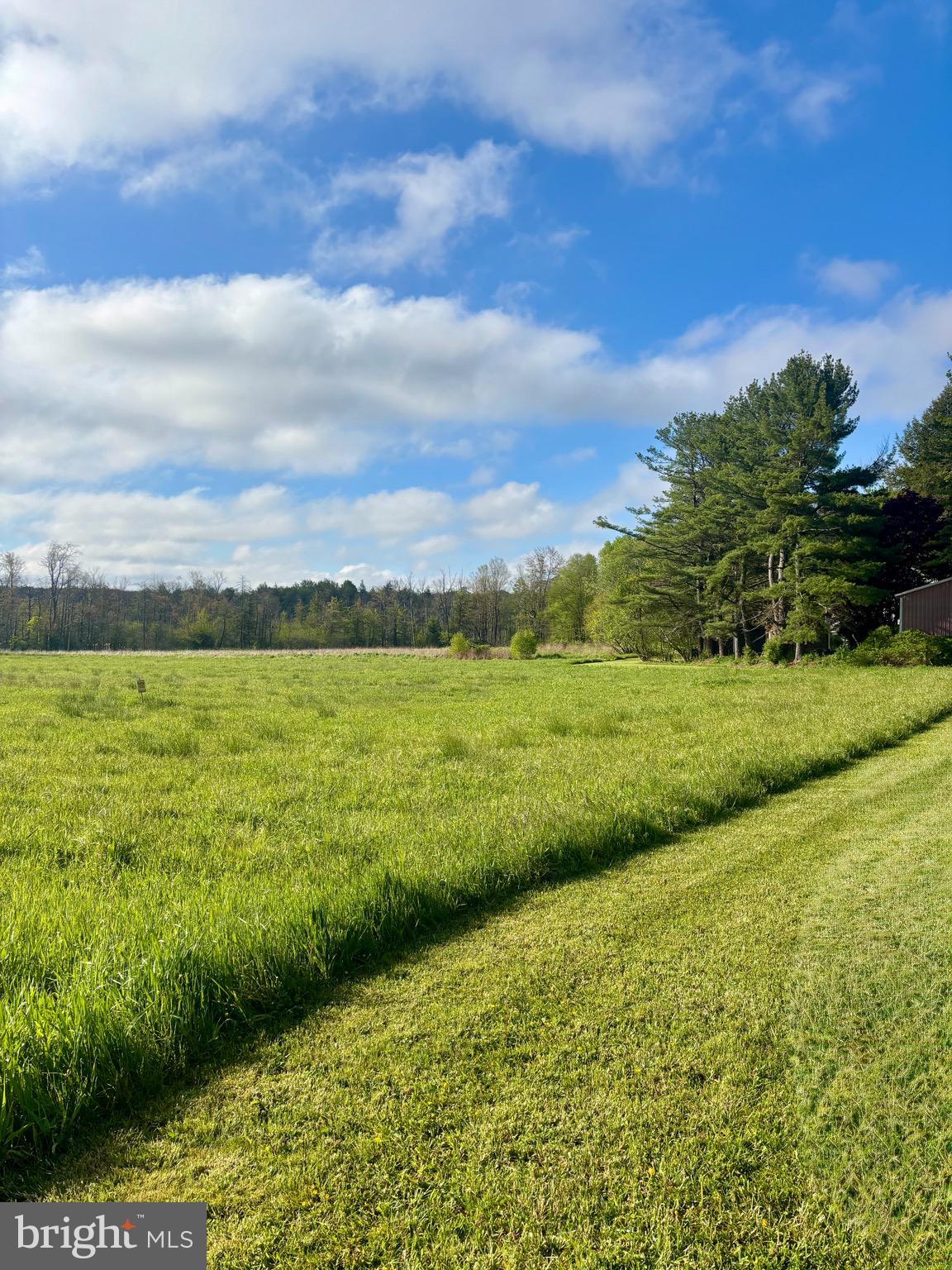 1362 Coleman Station Road Friedens, PA 15541 - Photo 4 of 25