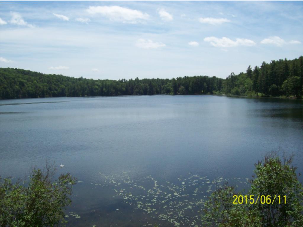 75 Sunrise Lake Road Orwell, VT 05760 - Photo 3 of 21