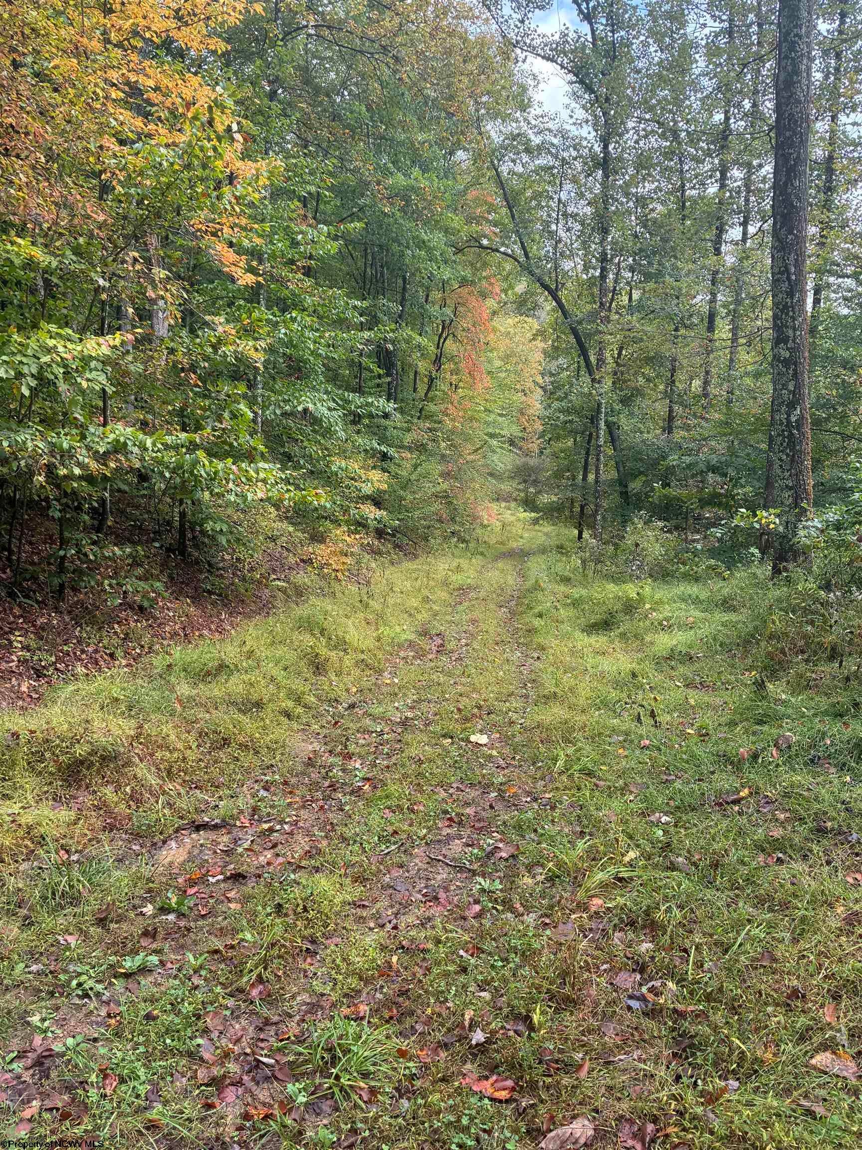5150 Indian Road Salem, WV 26426 - Photo 26 of 38 Gallery Image 26
