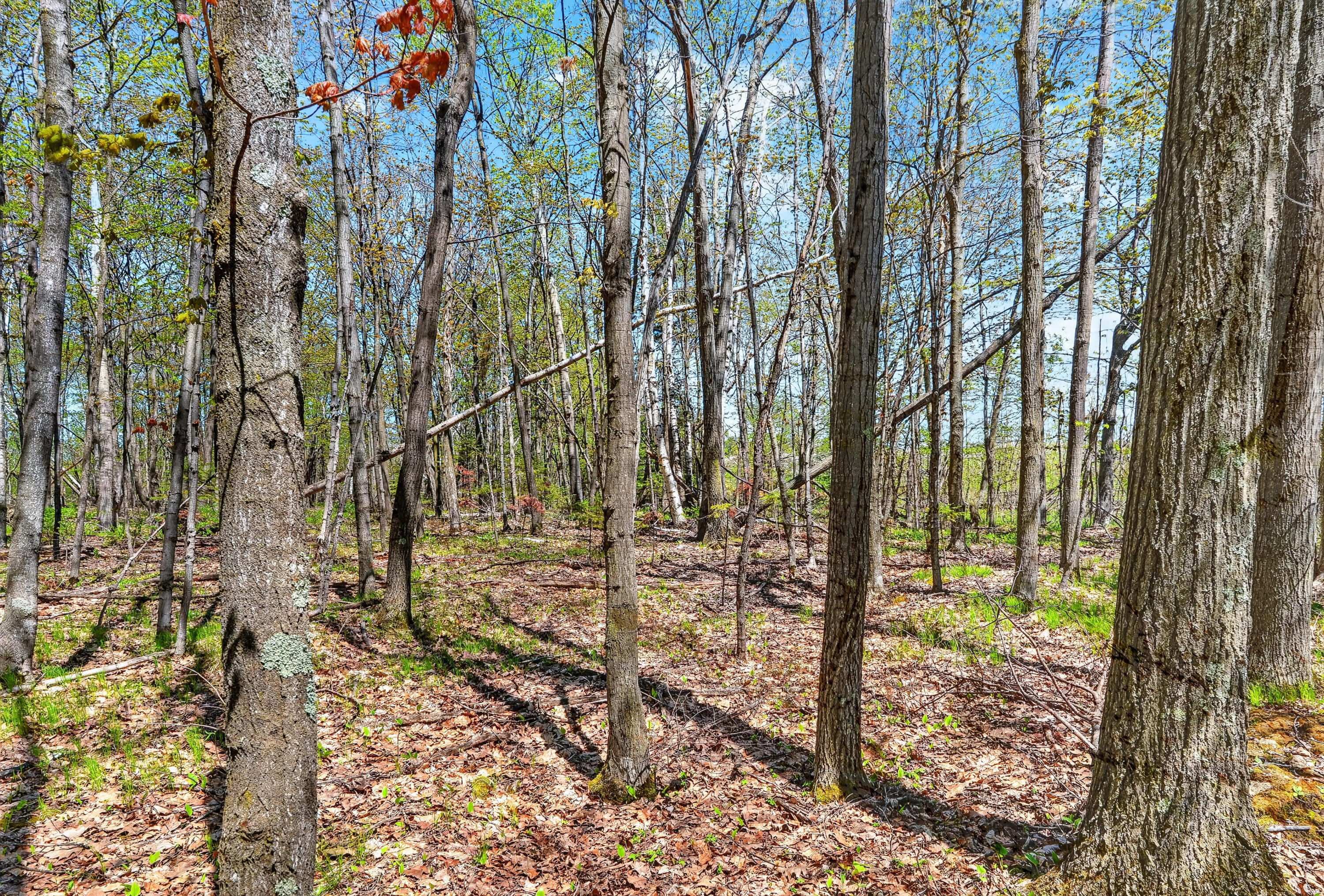 Parcel Old Orch Road, Unit 180221322812D Ellison Bay, WI 54210 - Photo 14 of 16 G - 6