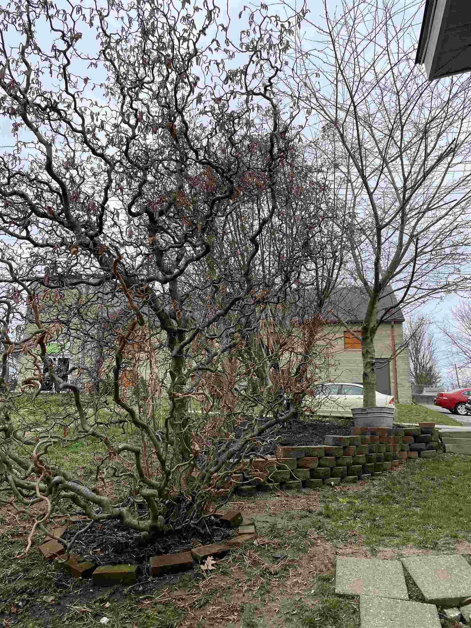 1032 R Street Bedford, IN 47421 - Photo 9 of 23 Gallery Image 9