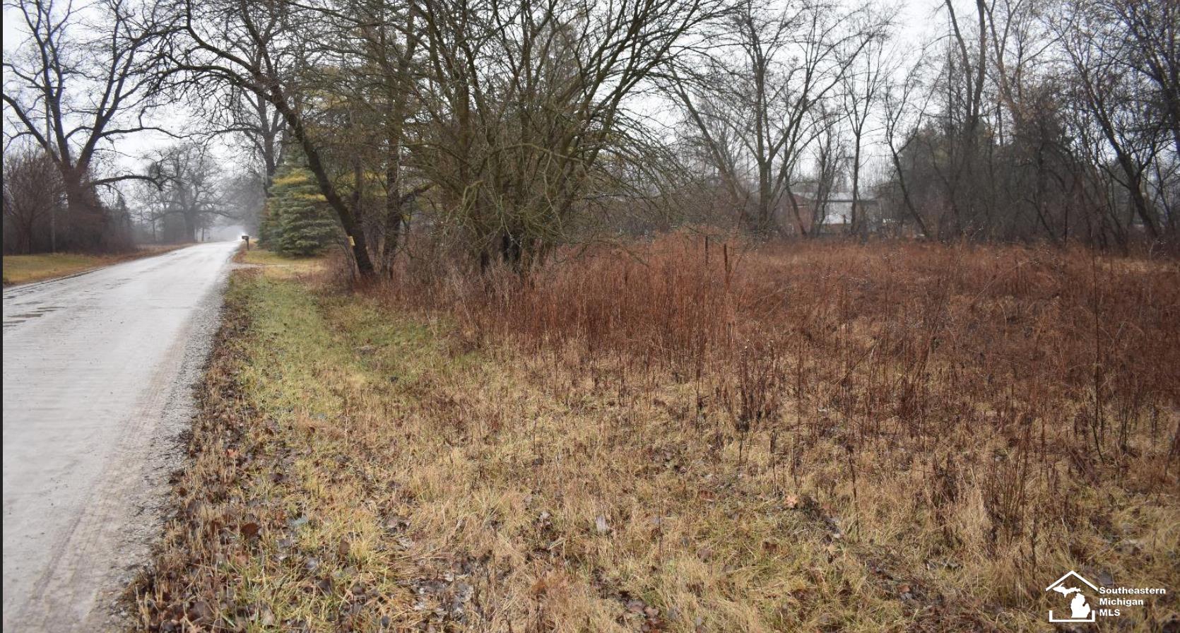 1 Allison Road Maybee, MI 48159 - Photo 2 of 14