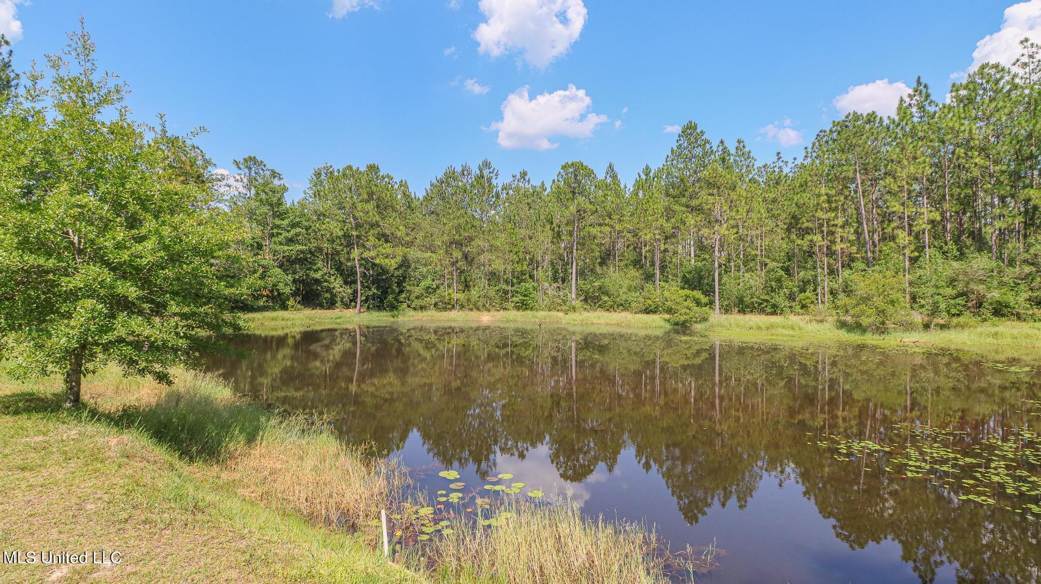 17512 Saucier Lizana Road Saucier, MS 39574 - Photo 27 of 28 Saucier Lizana-116034