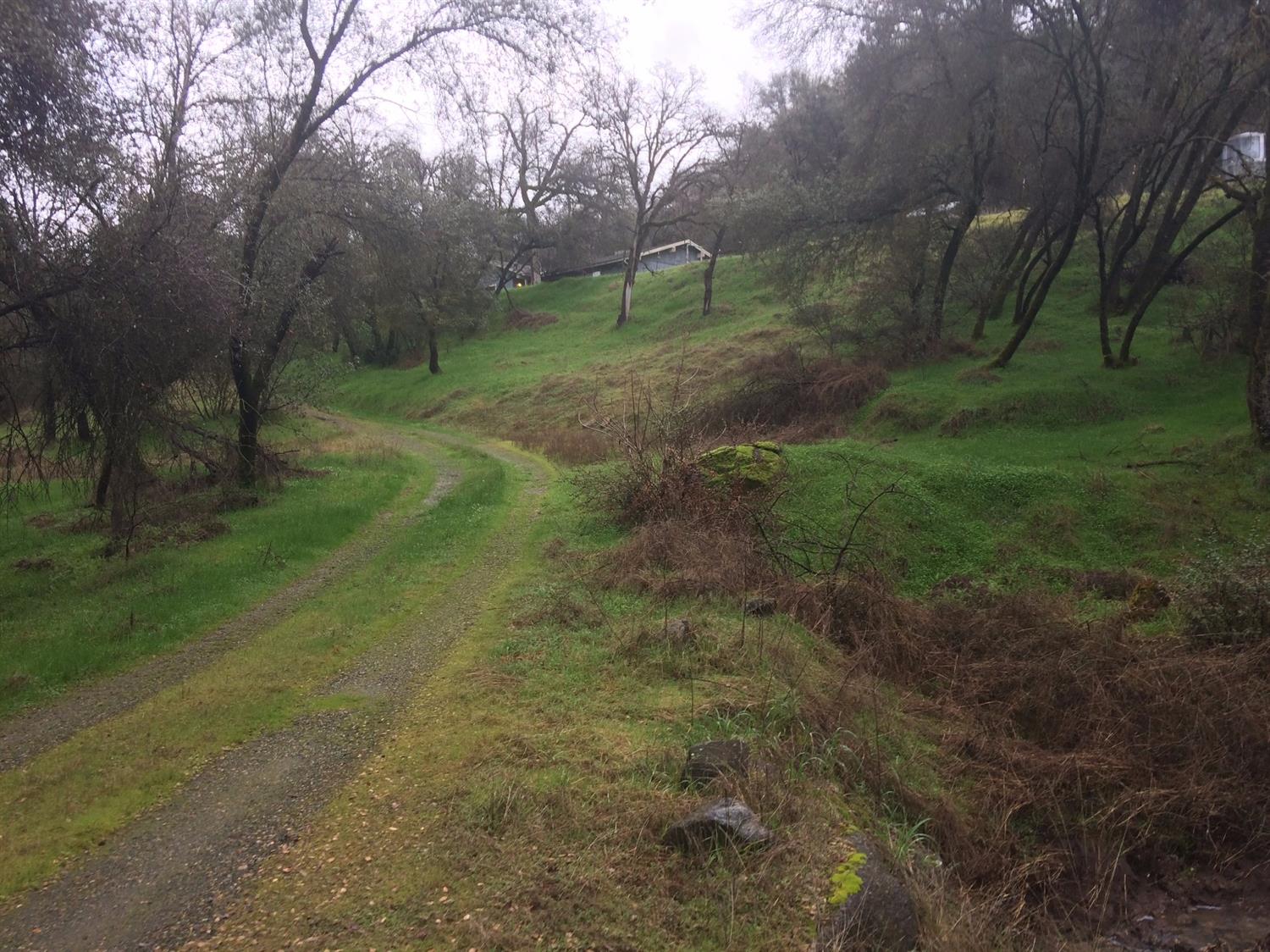 32267 Sycamore Road Tollhouse, CA 93667 - Photo 2 of 21 Gallery Image 2
