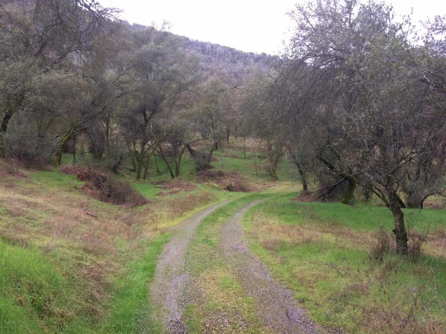 32267 Sycamore Road Tollhouse, CA 93667 - Photo 21 of 21 Gallery Image 21