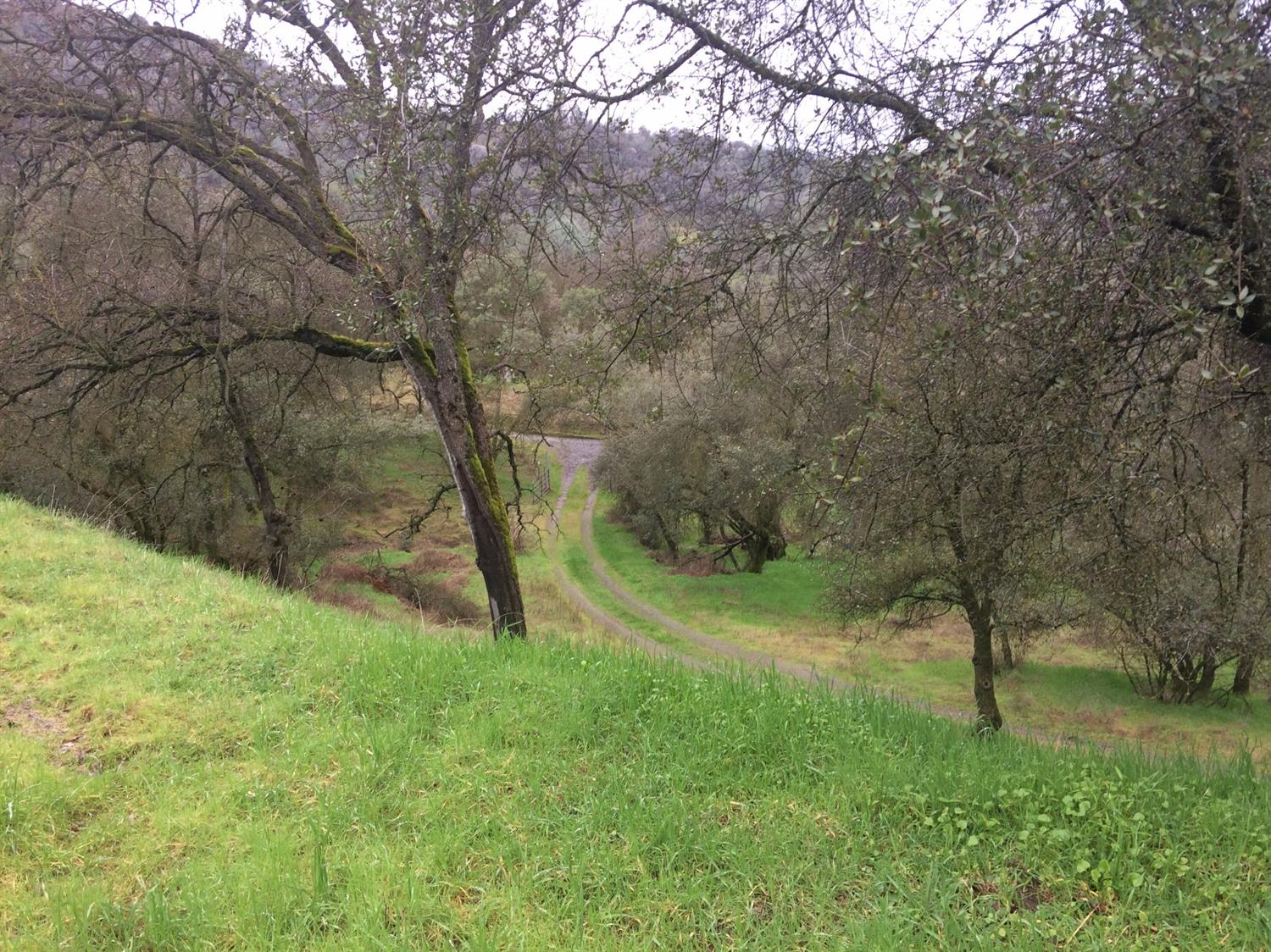 32267 Sycamore Road Tollhouse, CA 93667 - Photo 4 of 21 Gallery Image 4