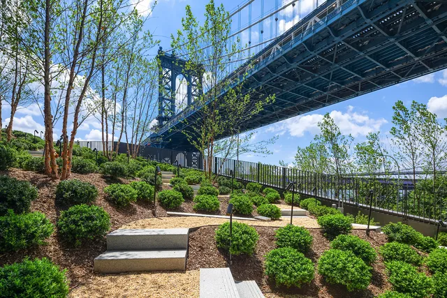 a view of a backyard with potted plants and large tree
