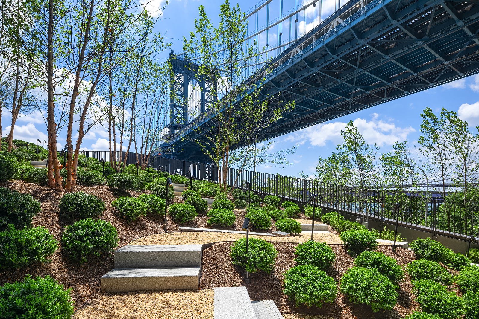 252 South Street, Unit 51D Manhattan, NY 10002 - Photo 35 of 37 a view of a backyard with potted plants and large tree