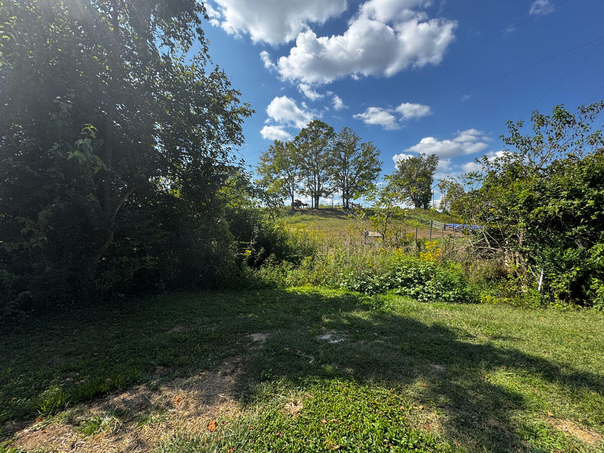 875 Vineyard Road Nicholasville, KY 40356 - Photo 27 of 30 Backyard-View