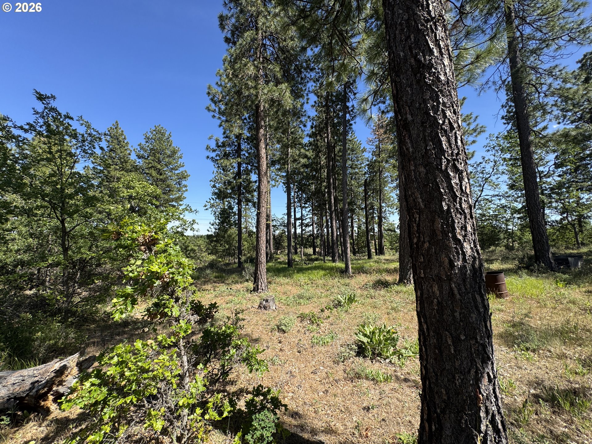 112 Timber Road Roosevelt, WA 99356 - Photo 30 of 31