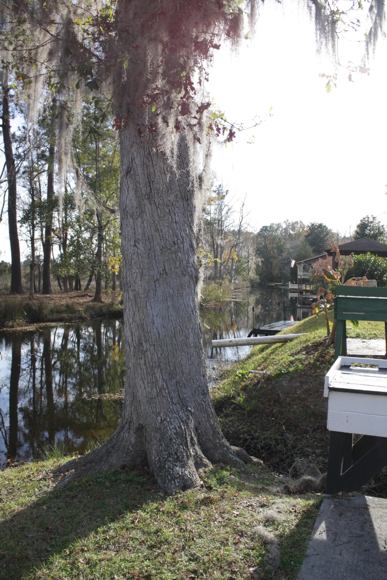 464 Castlebury Road Walterboro, SC 29488 - Photo 69 of 84 IMG_7002