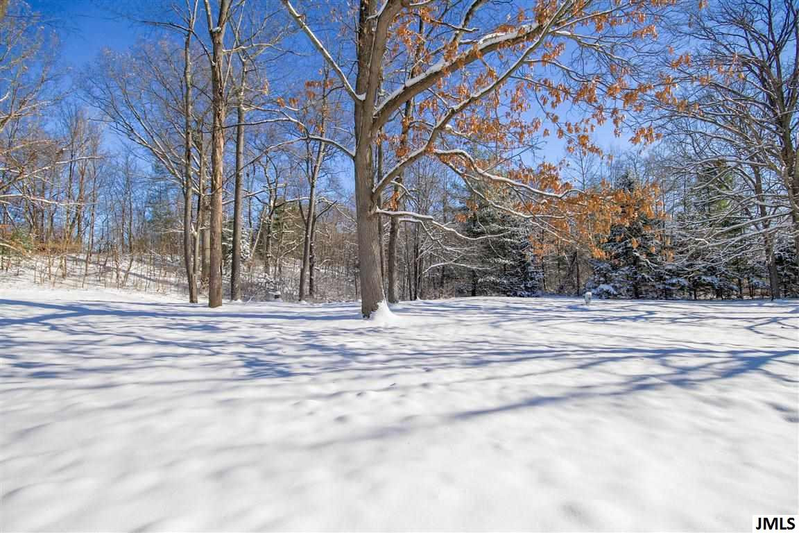 6825 Murray Road Jackson, MI 49201 - Photo 7 of 22 Photo 7