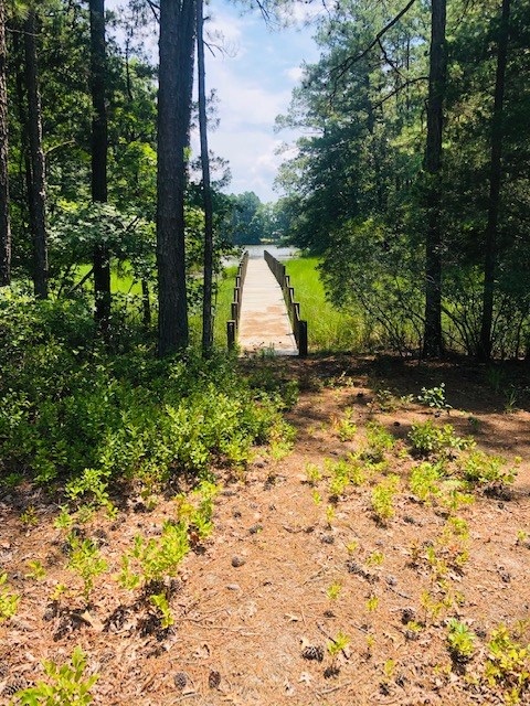 1 Mt Nebo Road, Unit 1 Onancock, VA 23417 - Photo 8 of 11
