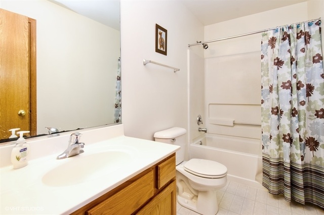 296 Evergreen Circle Gilberts, IL 60136 - Photo 8 of 10 a bathroom with a sink a toilet and shower