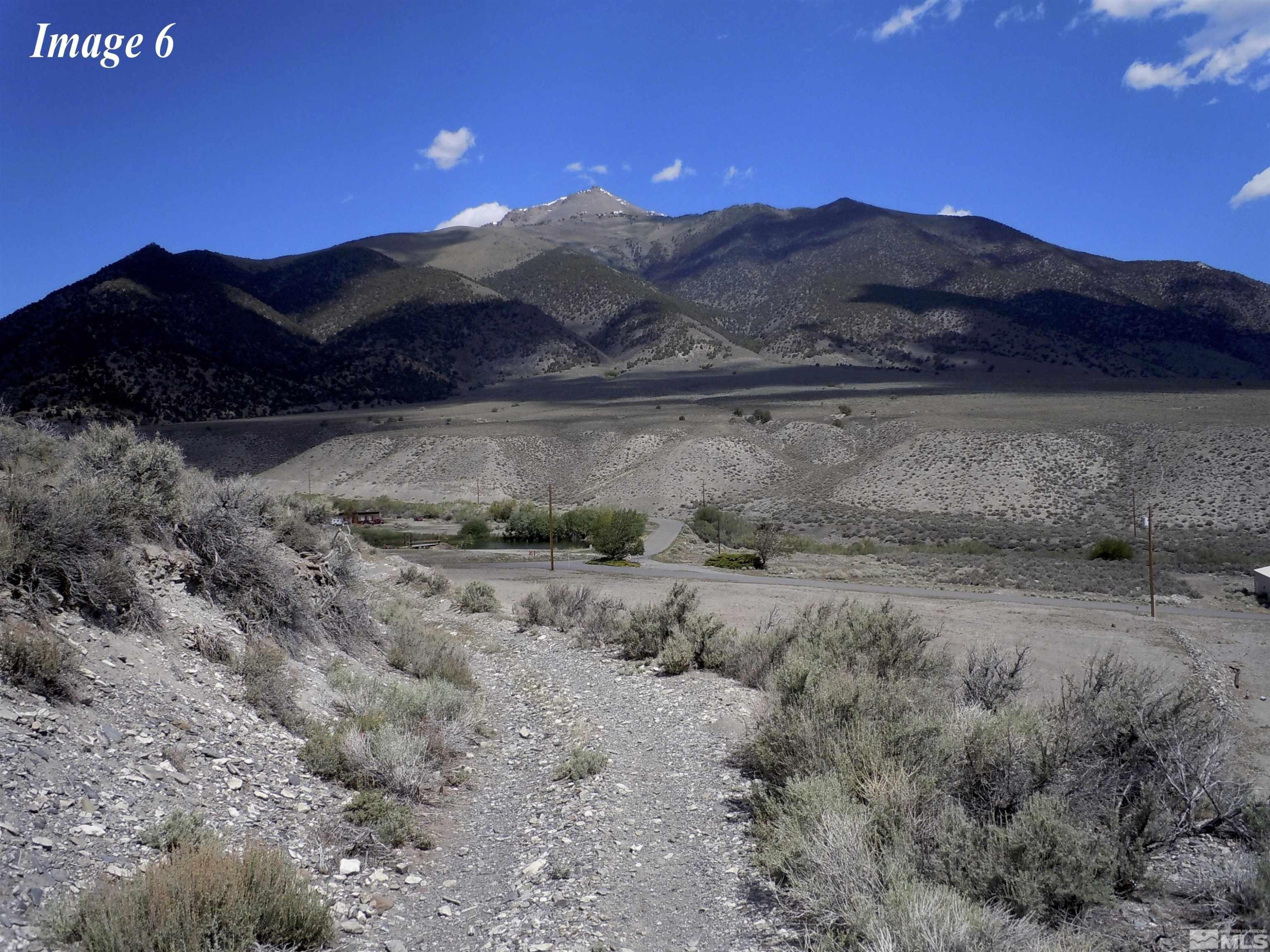 211-213 Kingston Canyon Road Kingston, NV 89310 - Photo 5 of 8 a view of a yard with a tree