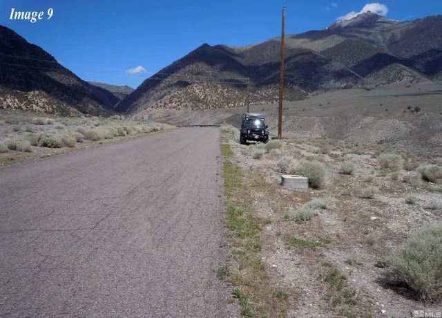 a view of a road from a dry yard