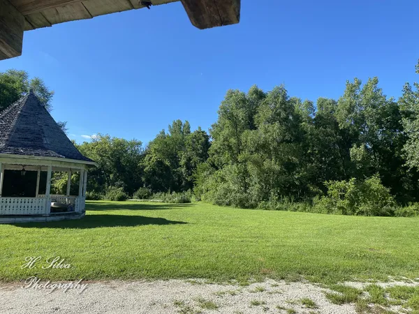 a view of a yard with a tree