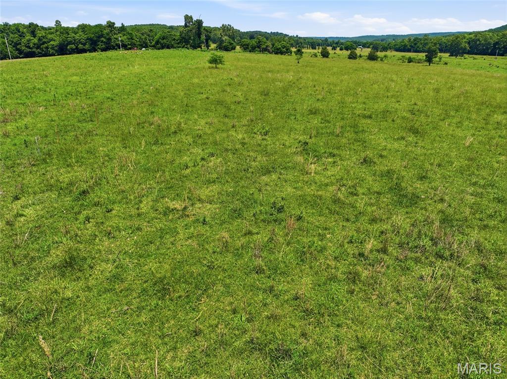 0 Pleasant Hill Road Mountain Grove, MO 65711 - Photo 18 of 51