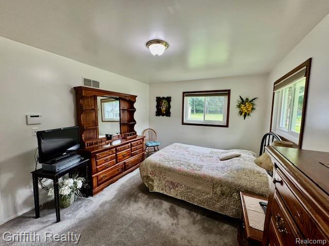 40309 Alden Road Belleville, MI 48111 - Photo 24 of 53 Gallery Image 24