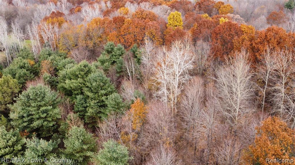 0 River Grove Road Flushing, MI 48433 - Photo 9 of 11