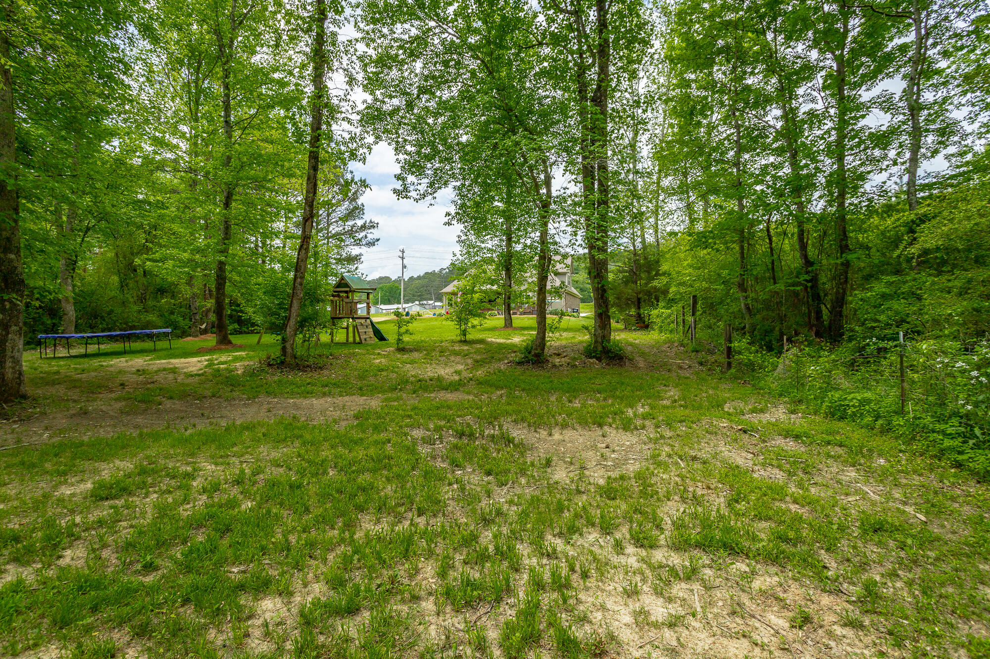 4348 Keith Road Ringgold, GA 30736 - Photo 45 of 54 Back Yard