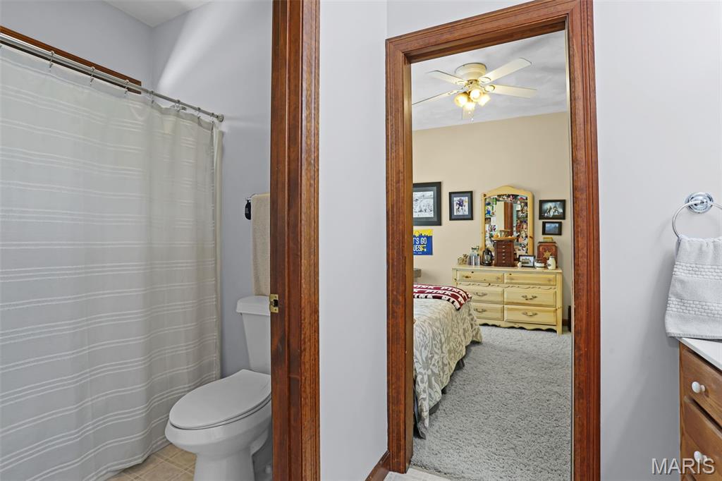 803 Schwarz Road Edwardsville, IL 62025 - Photo 27 of 62