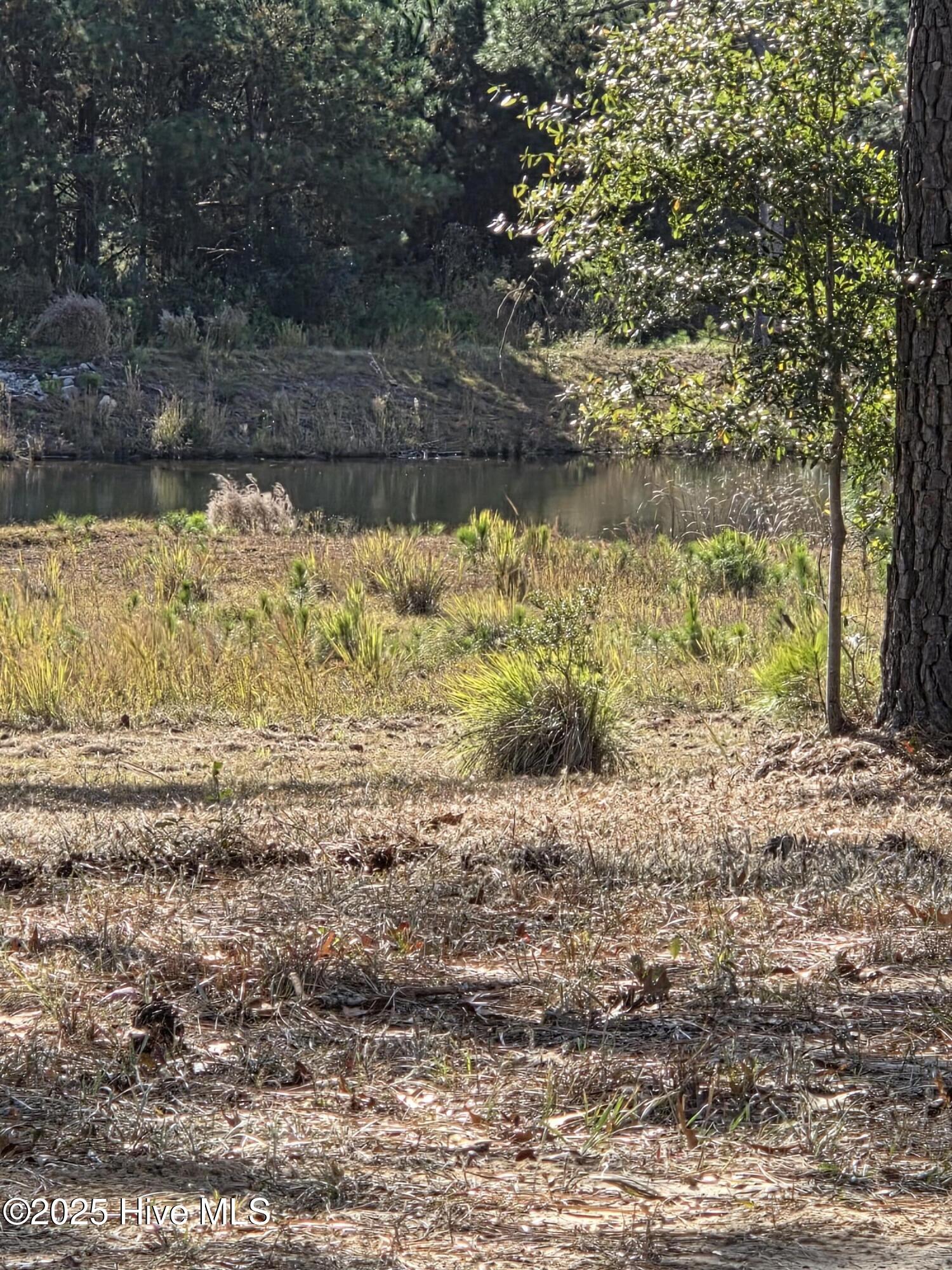 7501 Wallace Place Southwest Sunset Beach, NC 28468 - Photo 2 of 5 20251119_114714