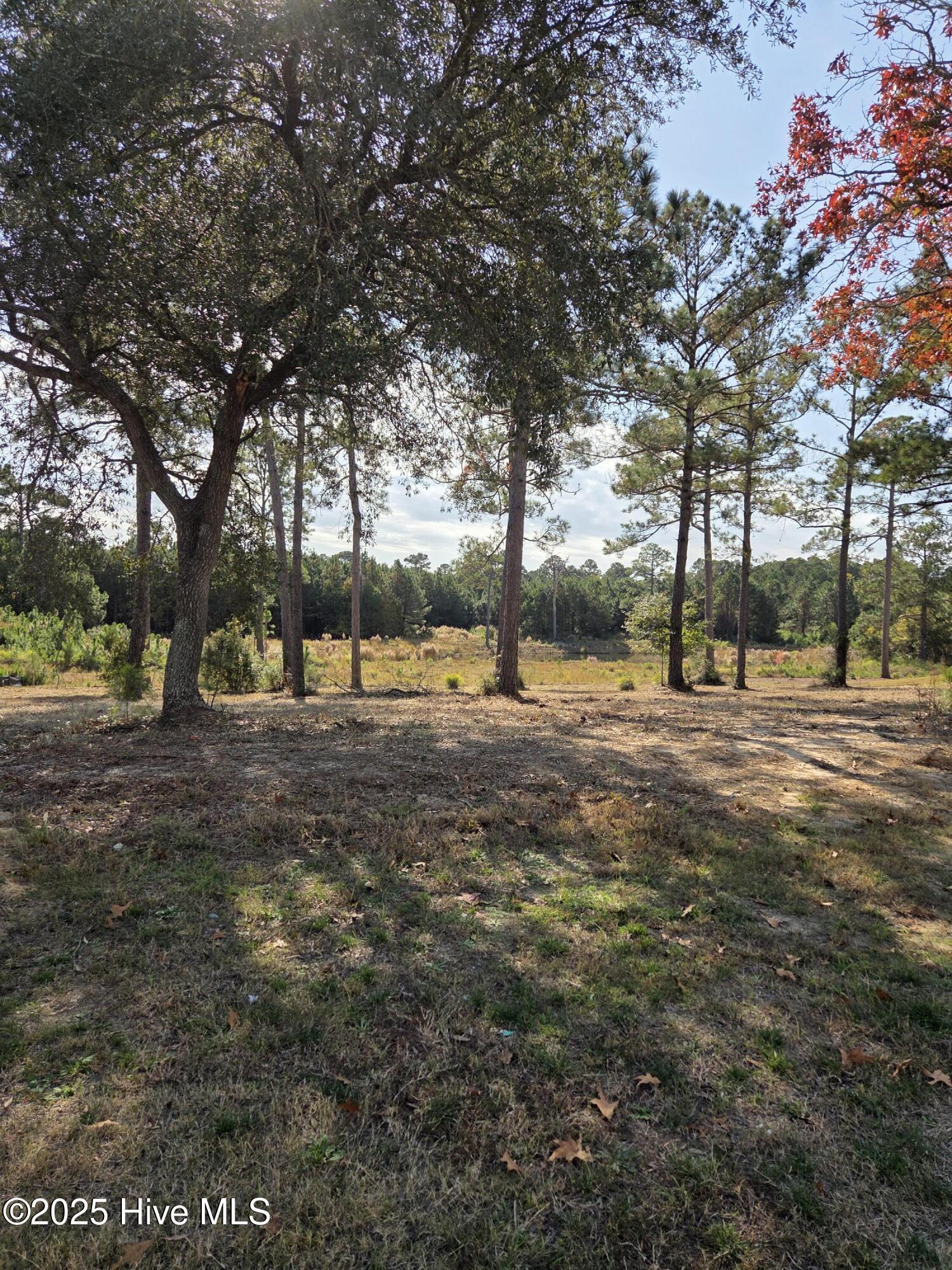 7501 Wallace Place Southwest Sunset Beach, NC 28468 - Photo 4 of 5 20251119_114658