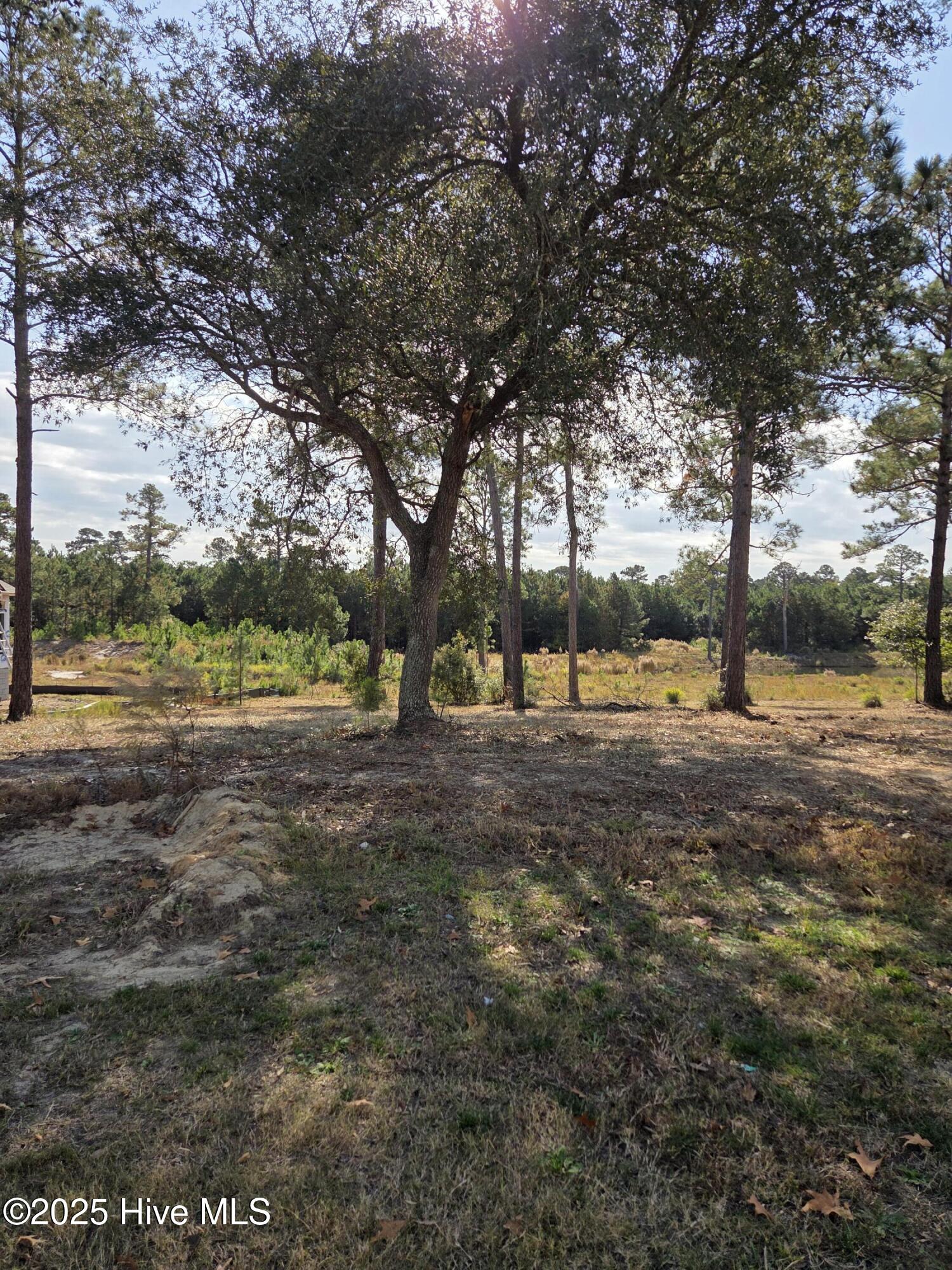 7501 Wallace Place Southwest Sunset Beach, NC 28468 - Photo 5 of 5 20251119_114703