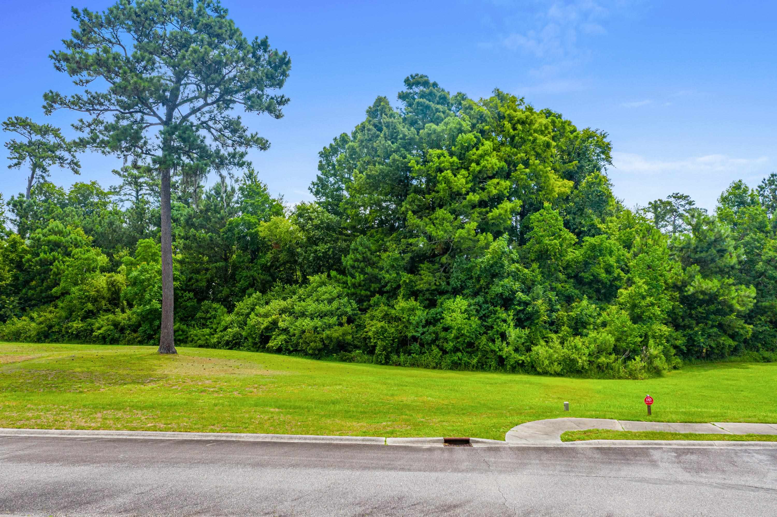 Lot 142 Millbrook Road Georgetown, SC 29440 - Photo 7 of 28 Gallery Image 7