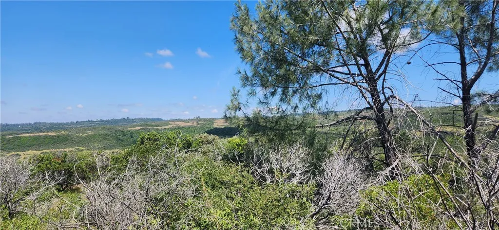 0 Hummer Forest Ranch Magalia, CA 95954 - Photo 10 of 28 a view of a lush green outdoor space with a lake view