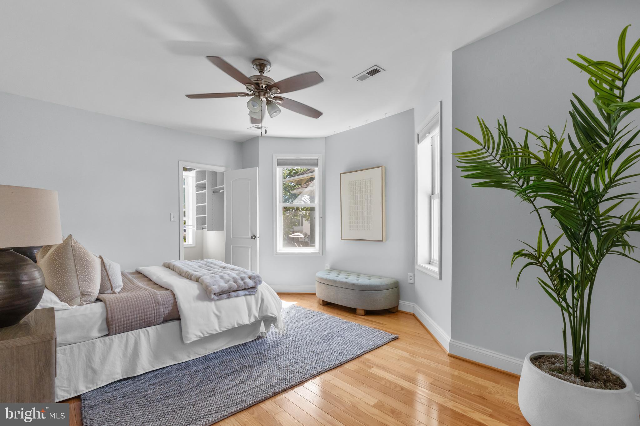 3916 5th Street Northwest Washington, DC 20011 - Photo 21 of 51 a spacious bedroom with a large bed and a potted plant