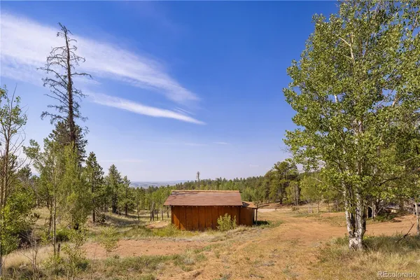 a view of a yard with a tree