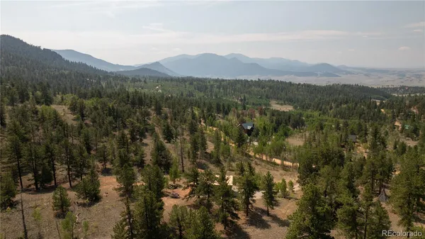 a view of a backyard with large trees