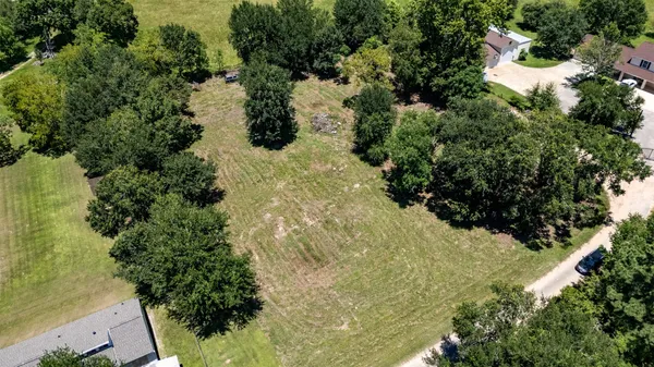 a view of a garden with plants