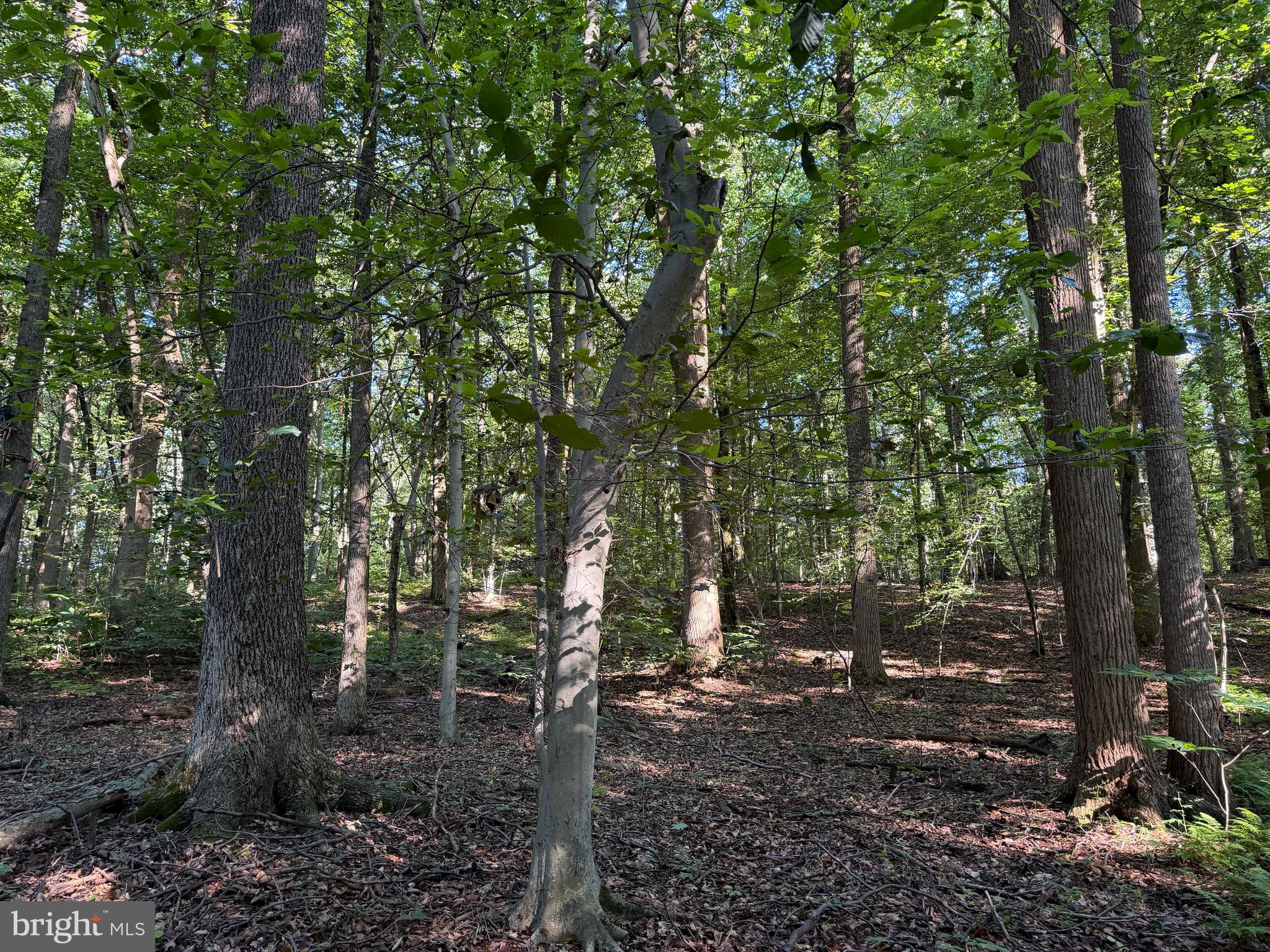 0 Rock Springs Road Conowingo, MD 21918 - Photo 51 of 79