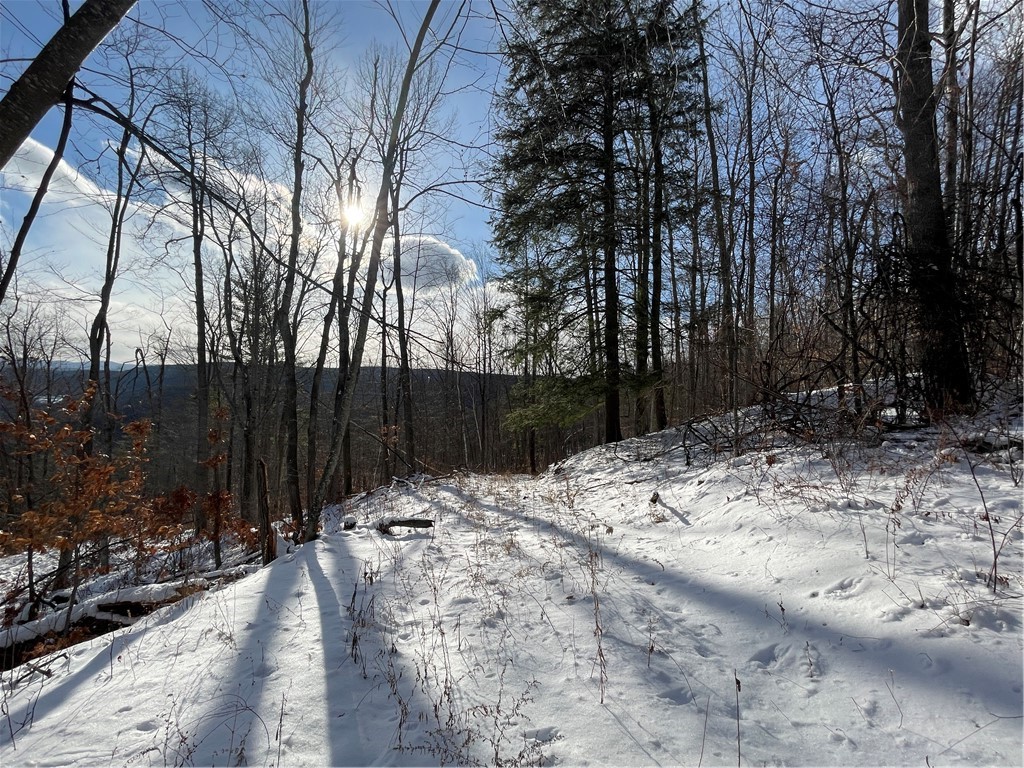 15 Silver Mine Road Blenheim, NY 12131 - Photo 2 of 15