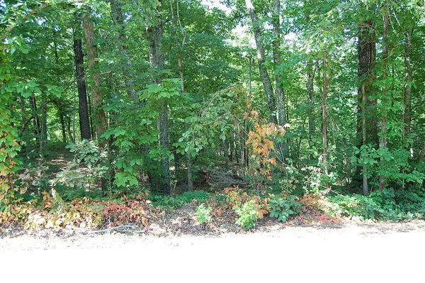 $37,900 | 65 Dogwood Lane, Dunlap, TN 37327