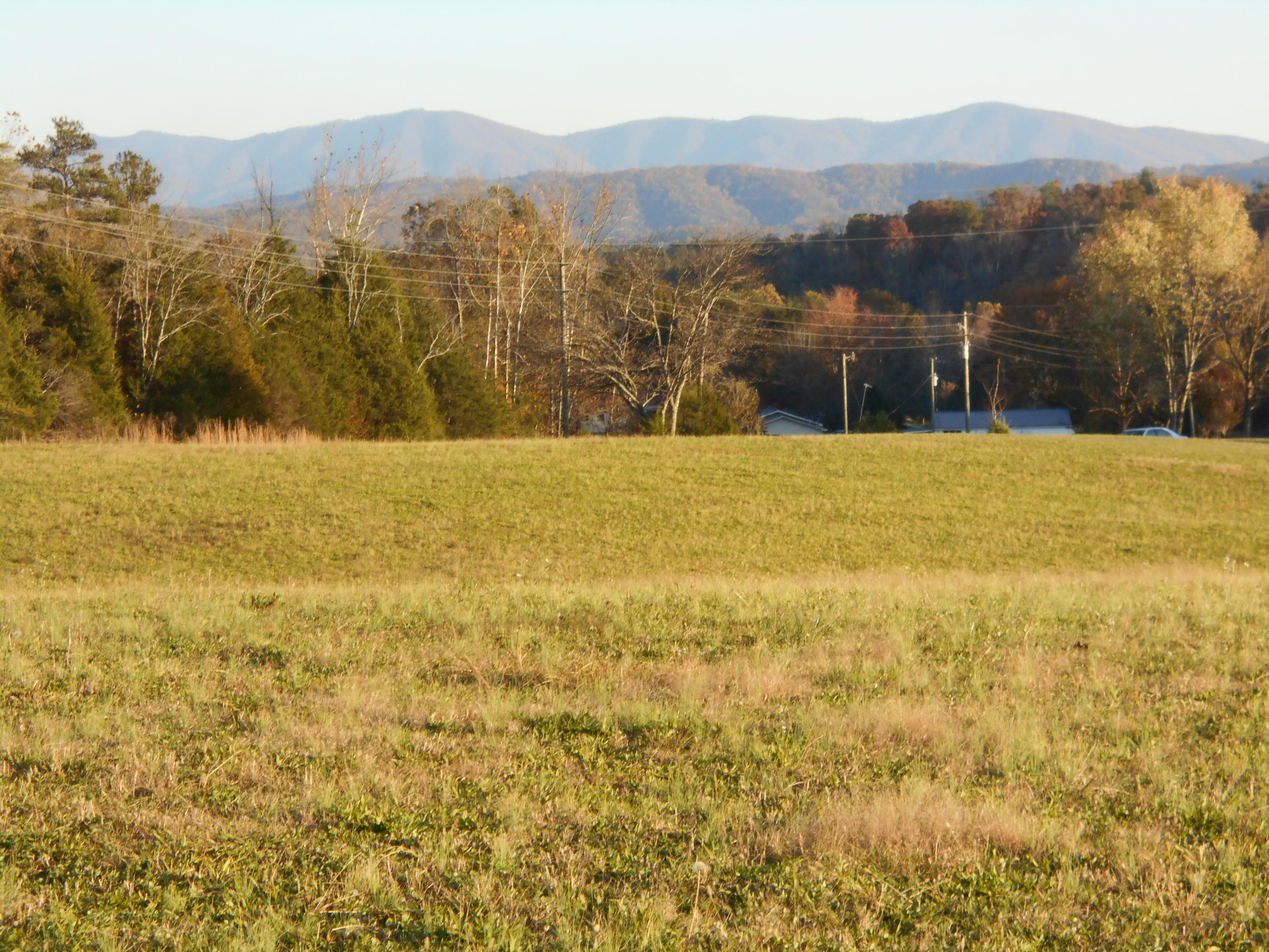Lot # Shadden Road Tellico Plains, TN 37385 - Photo 1 of 17 DSCN3404