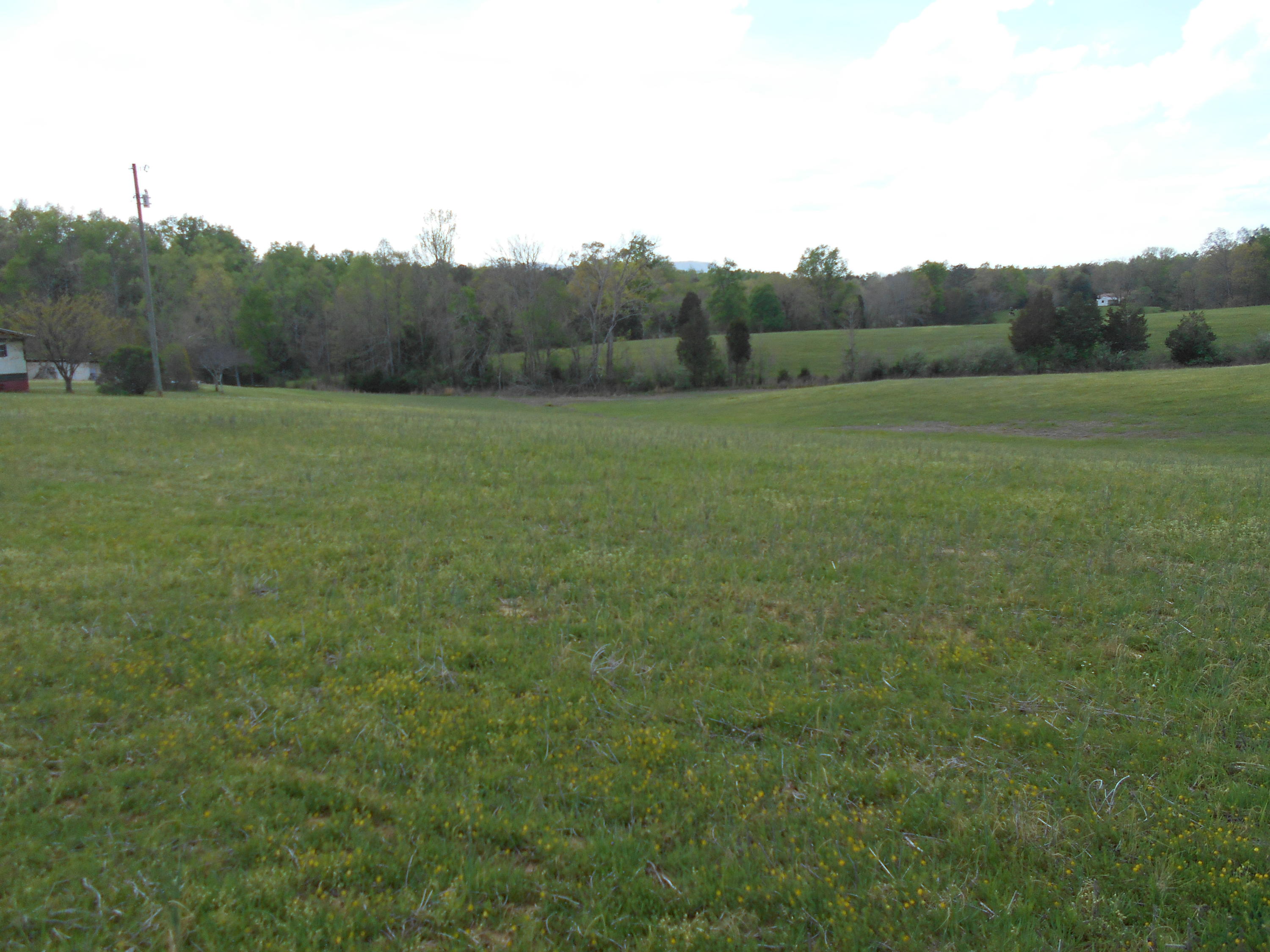 Lot # Shadden Road Tellico Plains, TN 37385 - Photo 2 of 17 DSCN1030