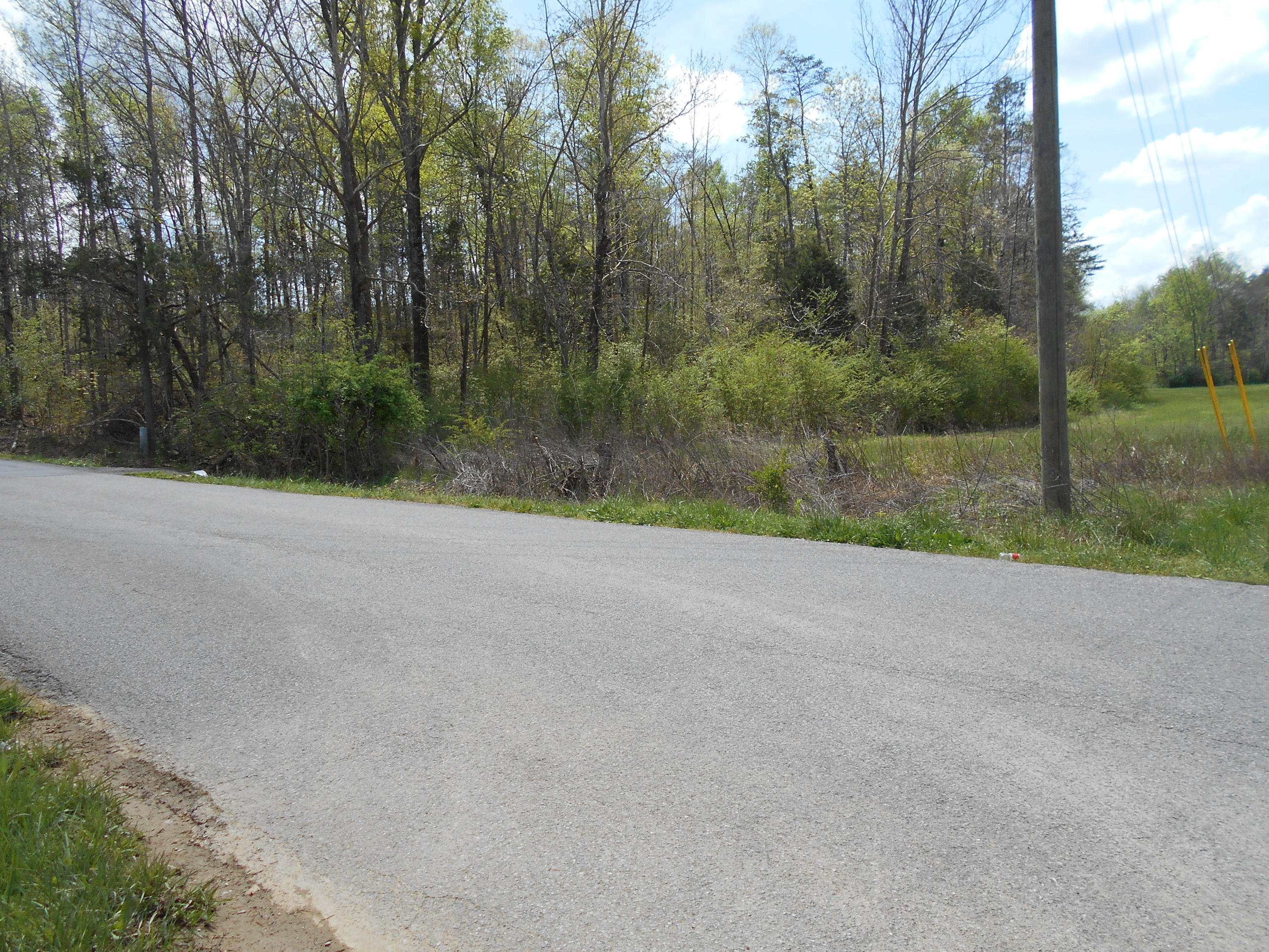 Lot # Shadden Road Tellico Plains, TN 37385 - Photo 12 of 17 DSCN1031