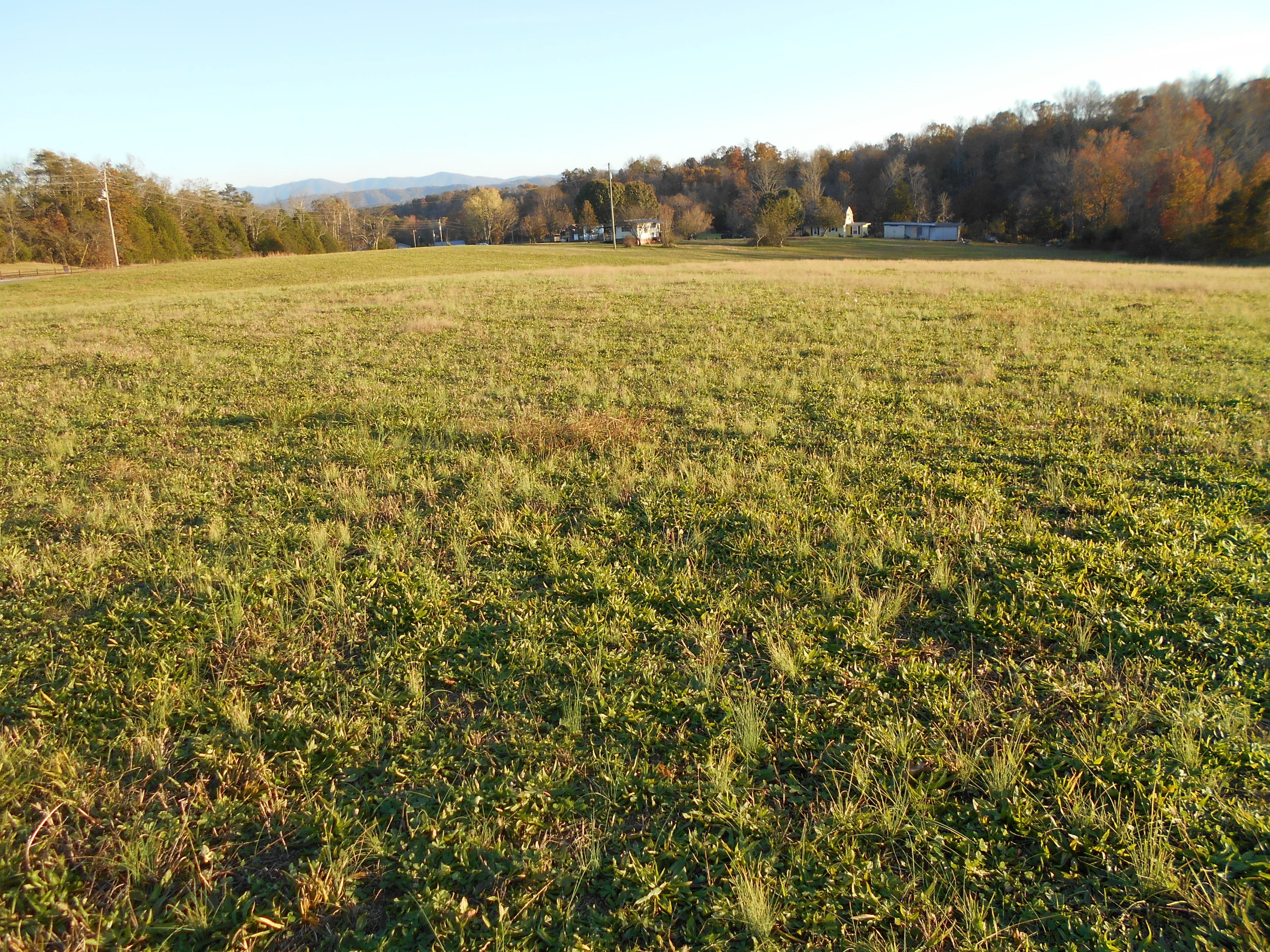 Lot # Shadden Road Tellico Plains, TN 37385 - Photo 14 of 17 DSCN3405