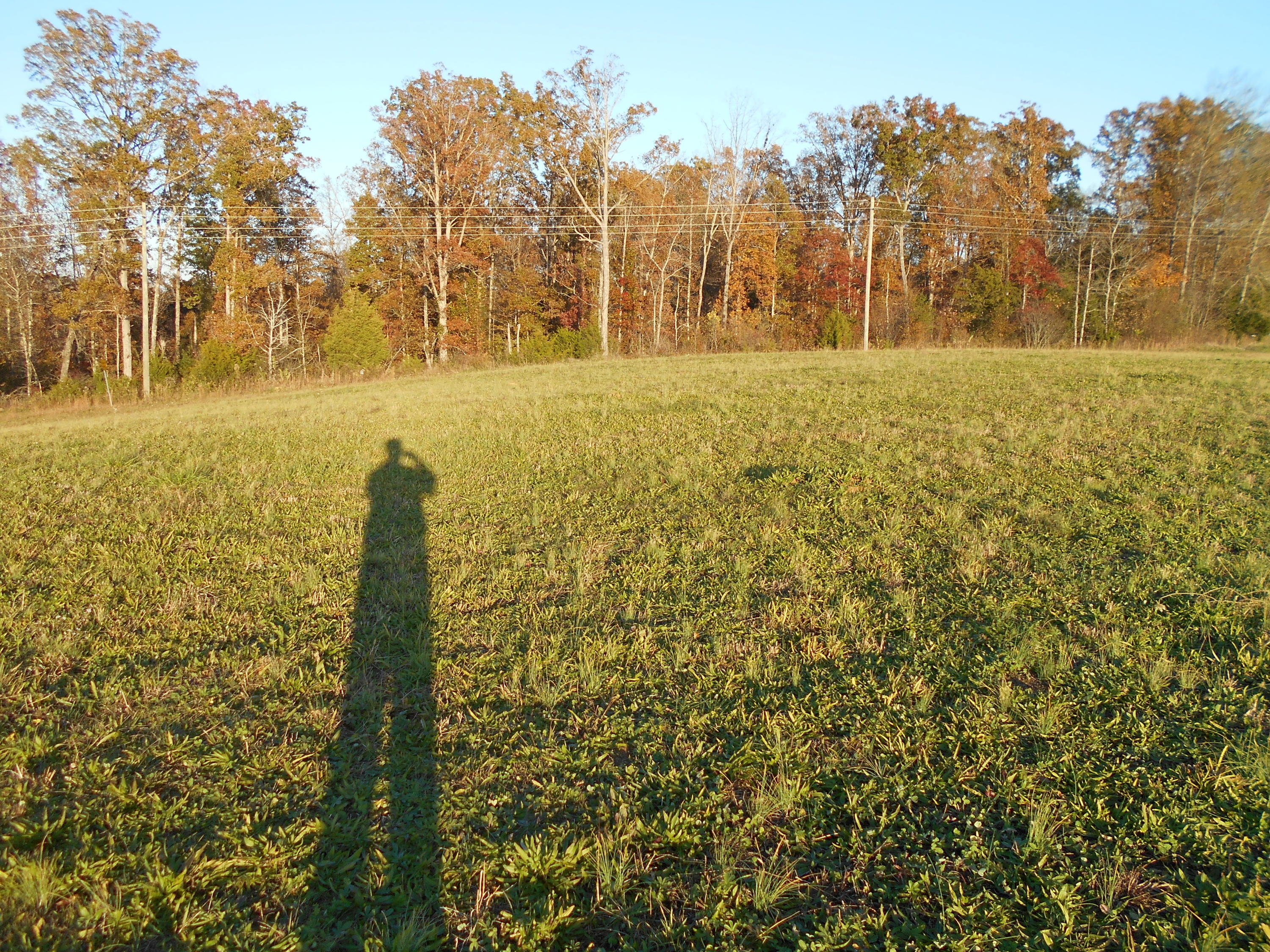 Lot # Shadden Road Tellico Plains, TN 37385 - Photo 15 of 17 DSCN3406