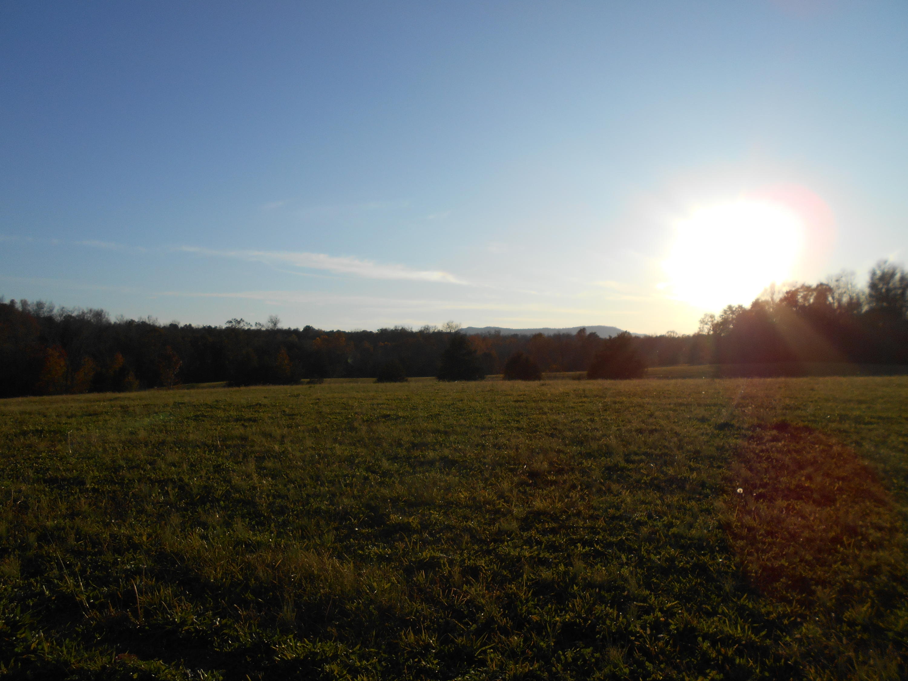 Lot # Shadden Road Tellico Plains, TN 37385 - Photo 16 of 17 DSCN3407