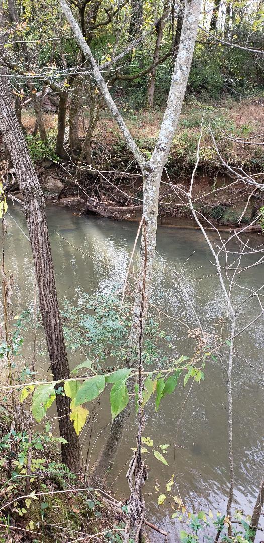Lot # Shadden Road Tellico Plains, TN 37385 - Photo 17 of 17 creek