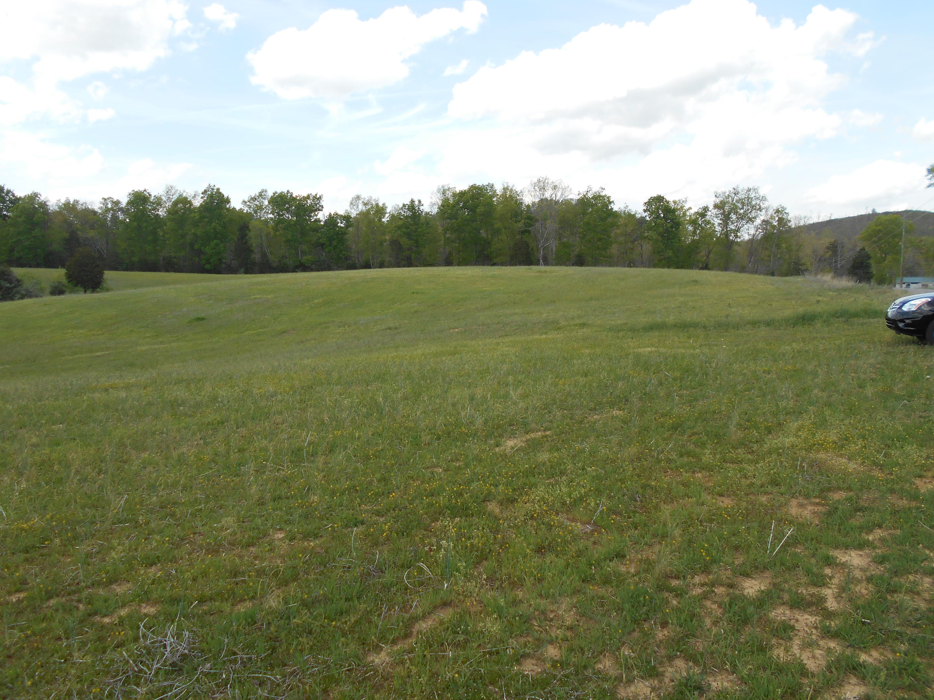 Lot # Shadden Road Tellico Plains, TN 37385 - Photo 3 of 17 DSCN1029
